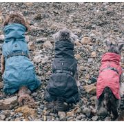 Parka imperméable doublée Expedition chiens OUTLET