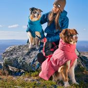 Parka imperméable doublée Expedition pour chiens