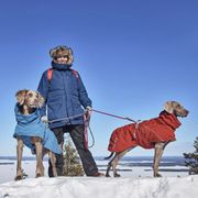 Manteau hiver chaud Extreme Warmer pour chiens