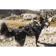 Harnais de traction X-SPORT pour chiens spécial traction noir