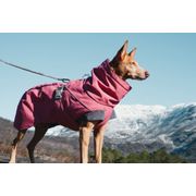 Parka imperméable doublée Expedition pour chiens