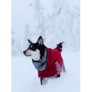 Manteau hiver chaud Extreme Warmer pour chiens