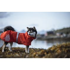 Manteau imperméable toutes saisons Monsoon pour chiens