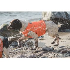 Veste de visibilité Ranger orange réfléchissante pour chiens