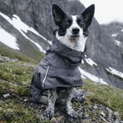 Mudventure ECO imperméable pour chien fin léger recyclé