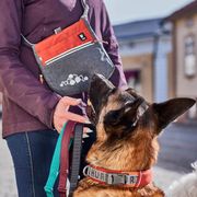 Pochette friandises chien recyclée dressage entraînement