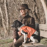 Veste de visibilité Ranger orange réfléchissante pour chiens